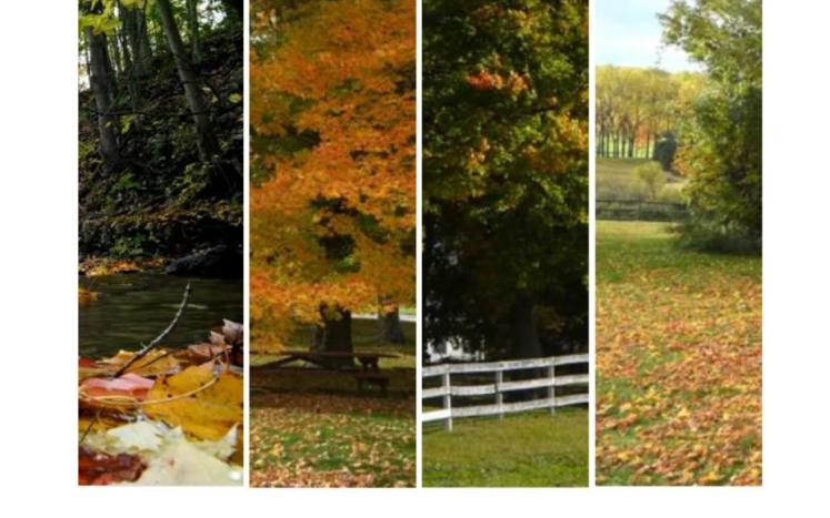 Fairview Township Comprehensive Plan 2025